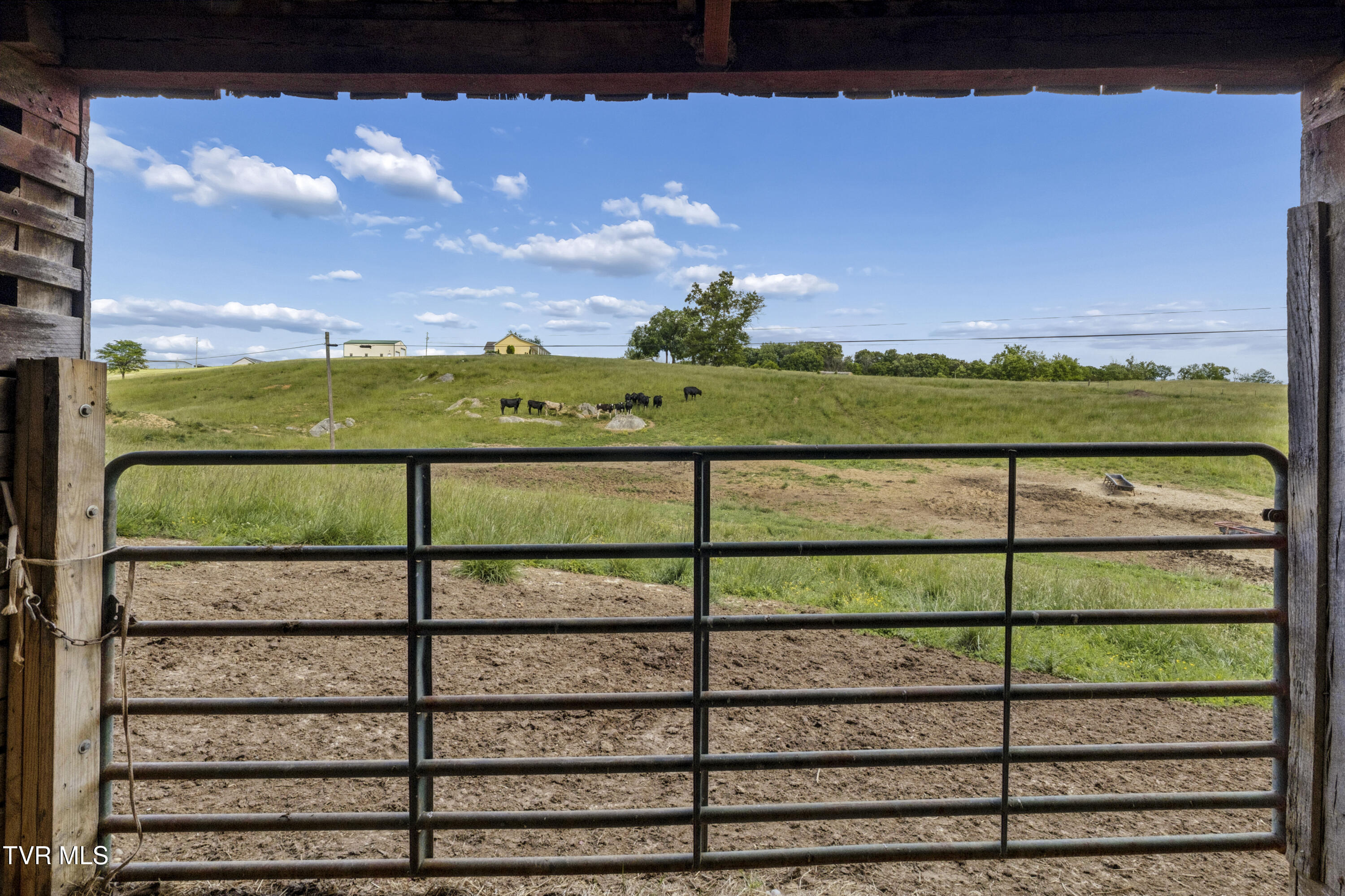 3200 Milburnton Road Limestone, TN 37681 - Photo 11 of 41 Mlburton-4399