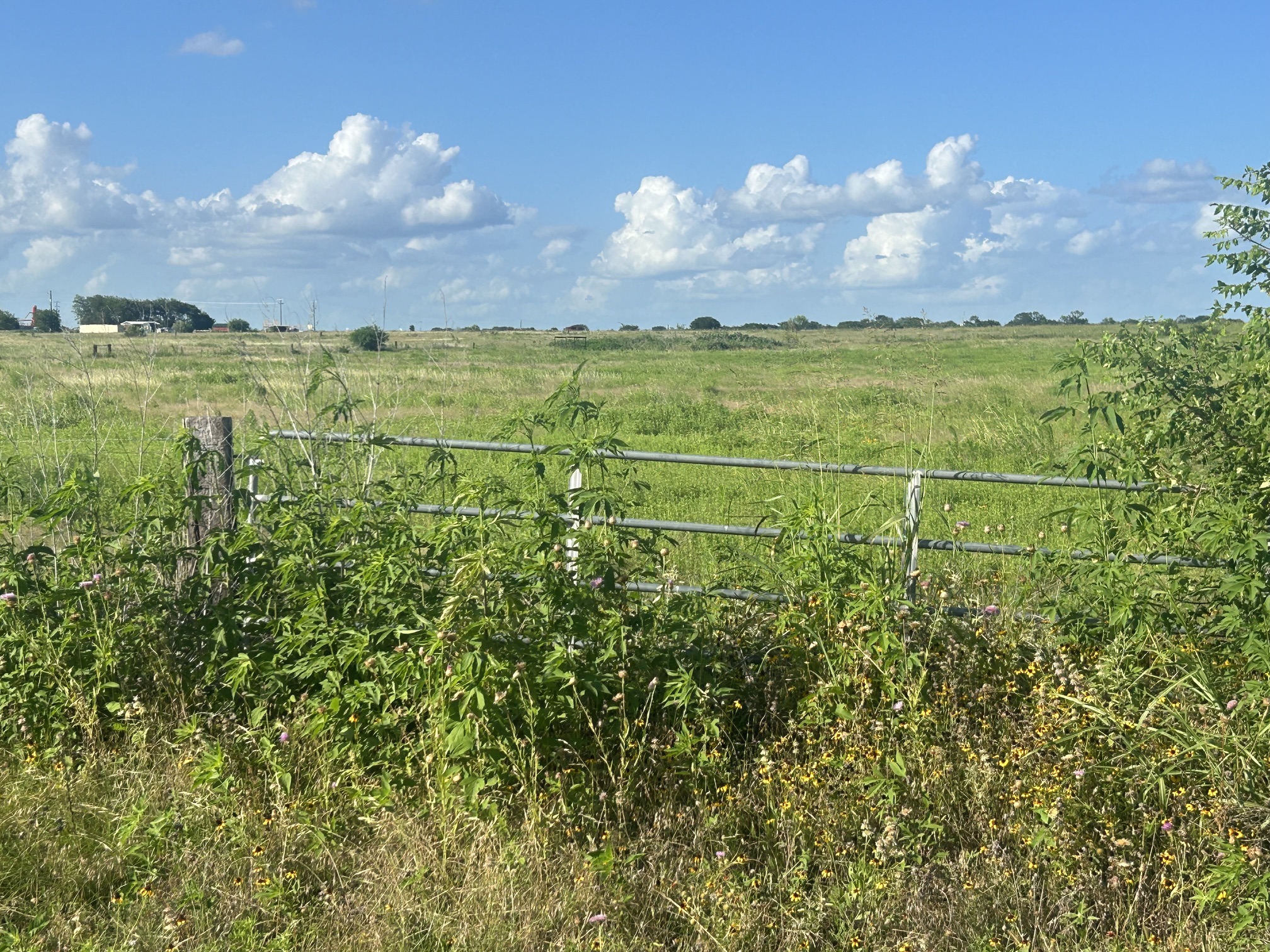 9012 Fm 141 Road Dime Box, TX 77853 - Photo 2 of 8 Green fields stretch toward the horizon under an open sky, offering a serene, rural setting.