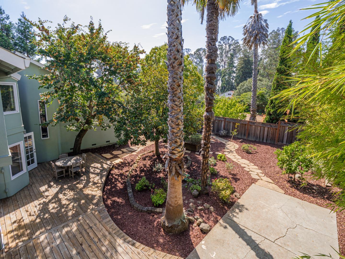 1459 High Street Santa Cruz, CA 95060 - Photo 36 of 62 a view of a backyard with plants and trees