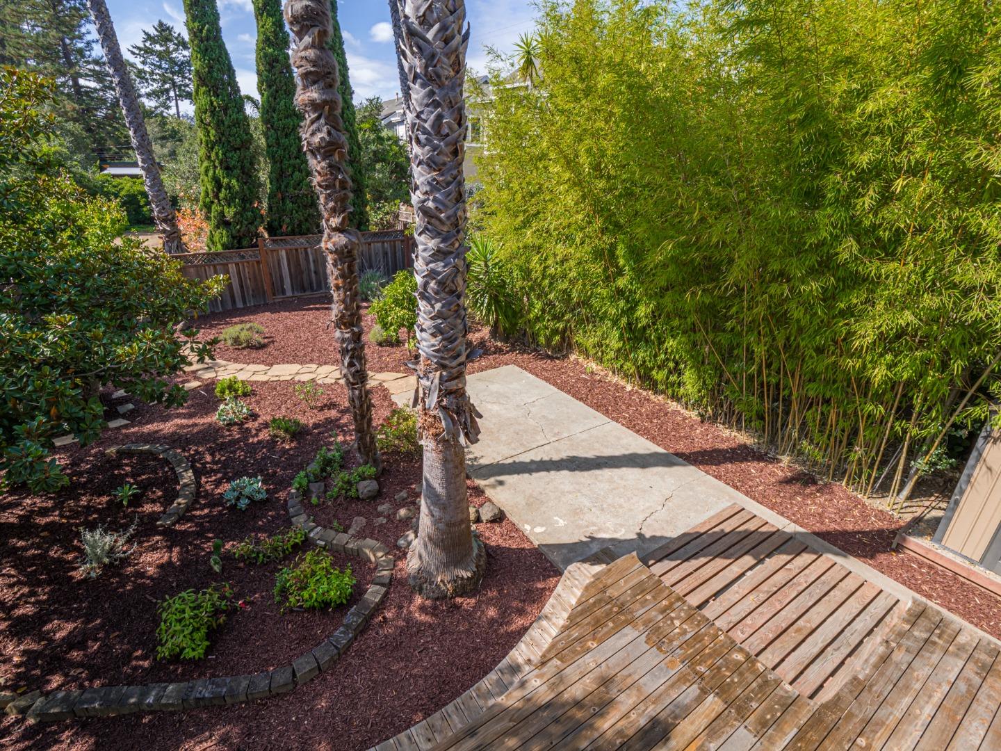 1459 High Street Santa Cruz, CA 95060 - Photo 37 of 62 a view of a yard with plants and trees