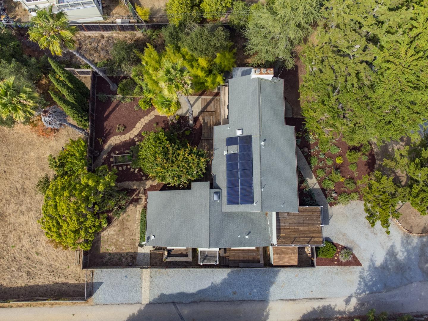 1459 High Street Santa Cruz, CA 95060 - Photo 53 of 62 an aerial view of a house with a yard and large tree