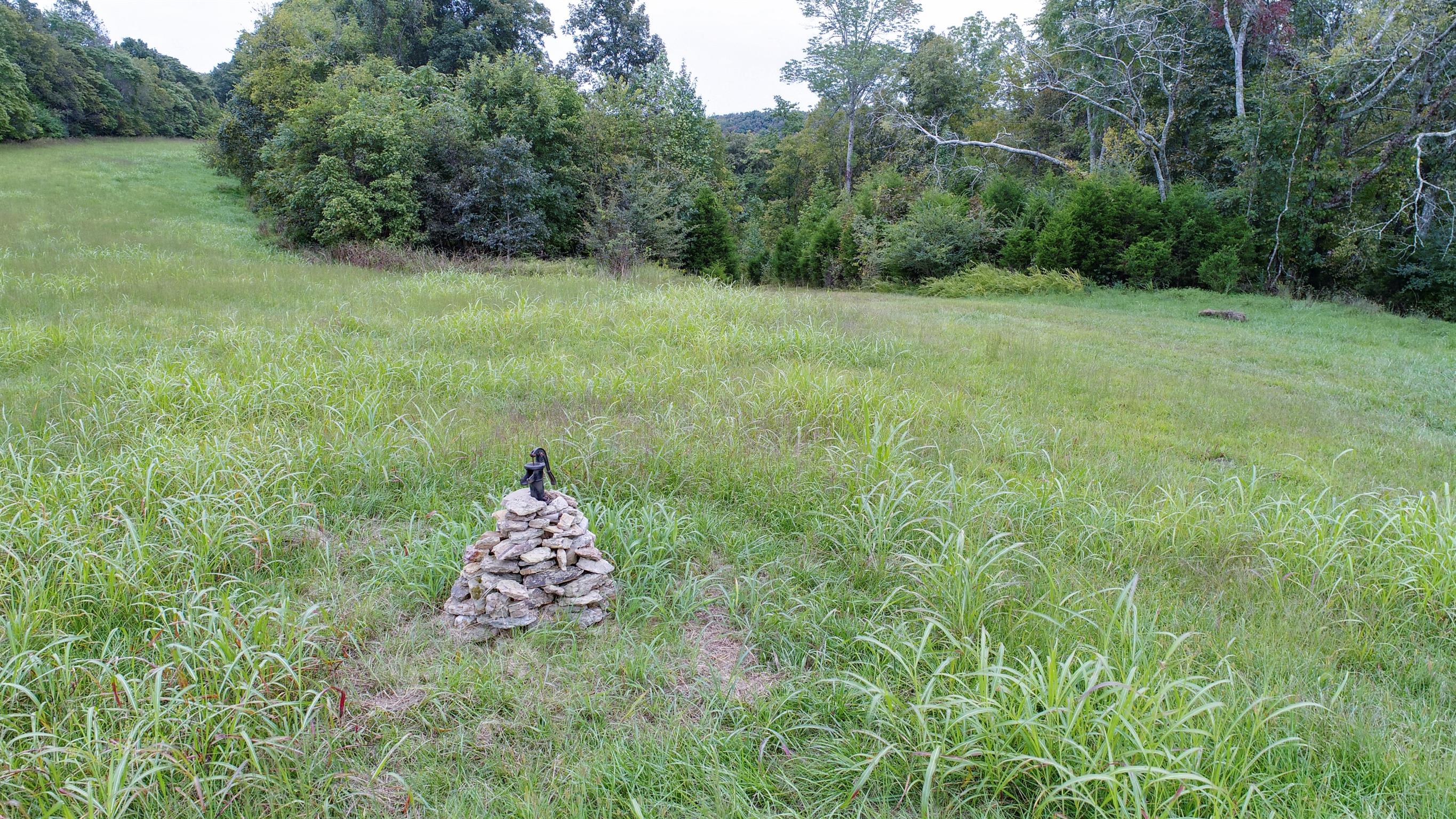 0 Little Dry Creek Road Pulaski, TN 38478 - Photo 11 of 14
