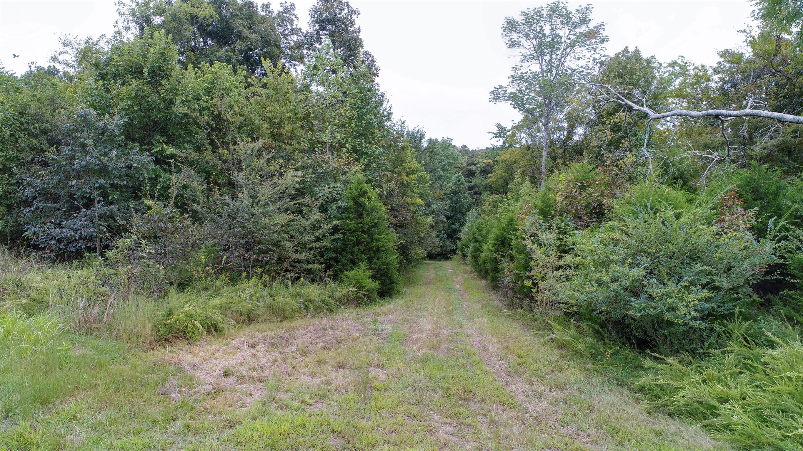 0 Little Dry Creek Road Pulaski, TN 38478 - Photo 12 of 14
