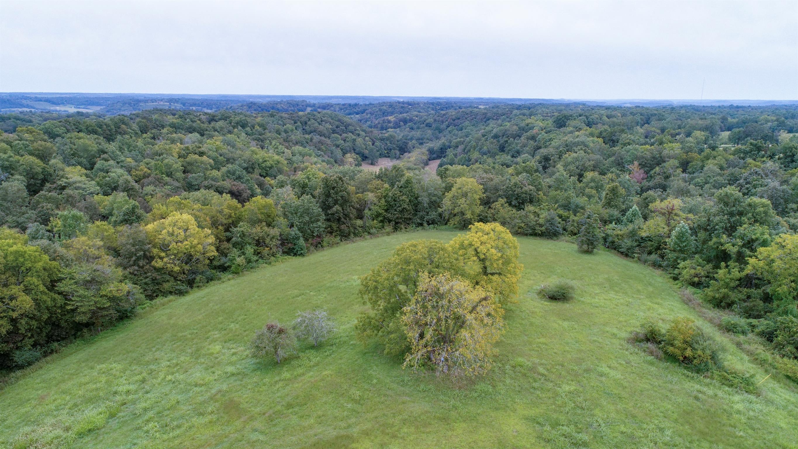 0 Little Dry Creek Road Pulaski, TN 38478 - Photo 3 of 14