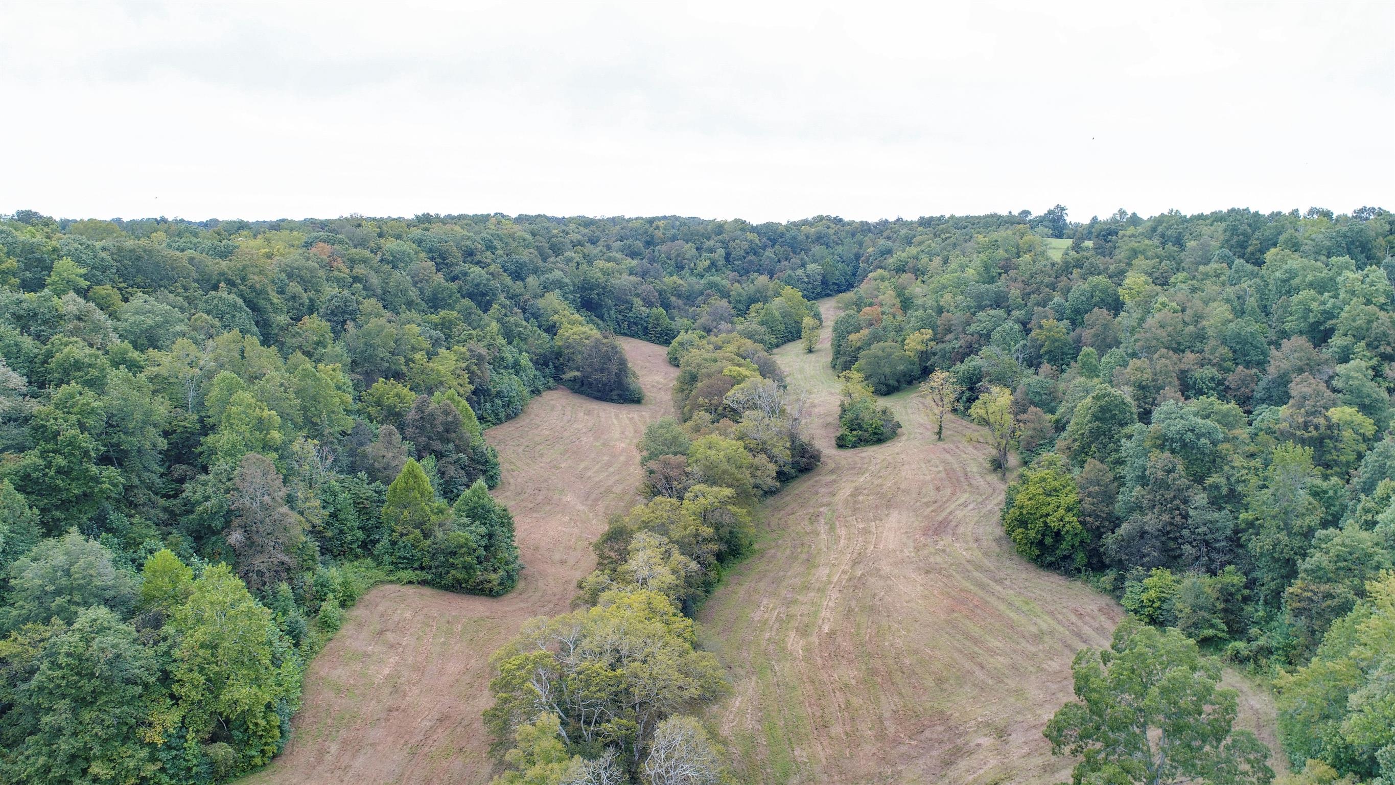 0 Little Dry Creek Road Pulaski, TN 38478 - Photo 4 of 14