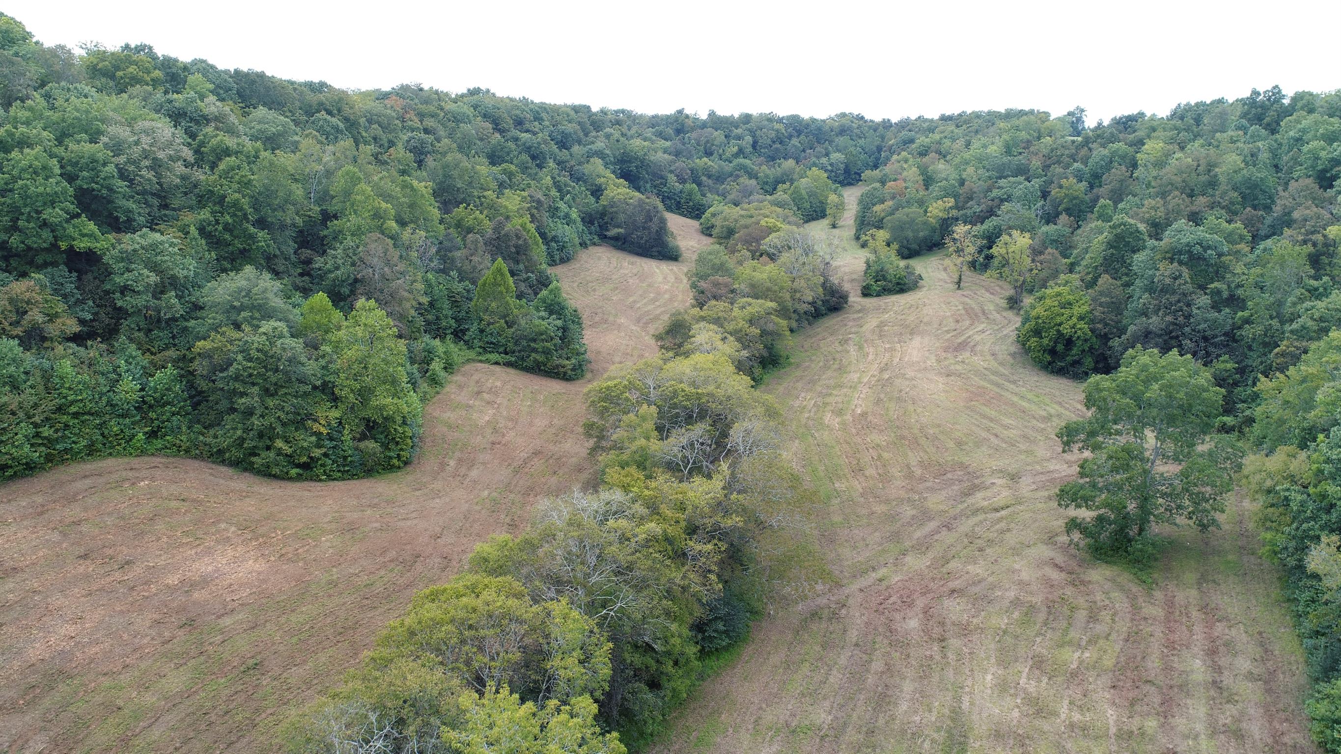 0 Little Dry Creek Road Pulaski, TN 38478 - Photo 5 of 14
