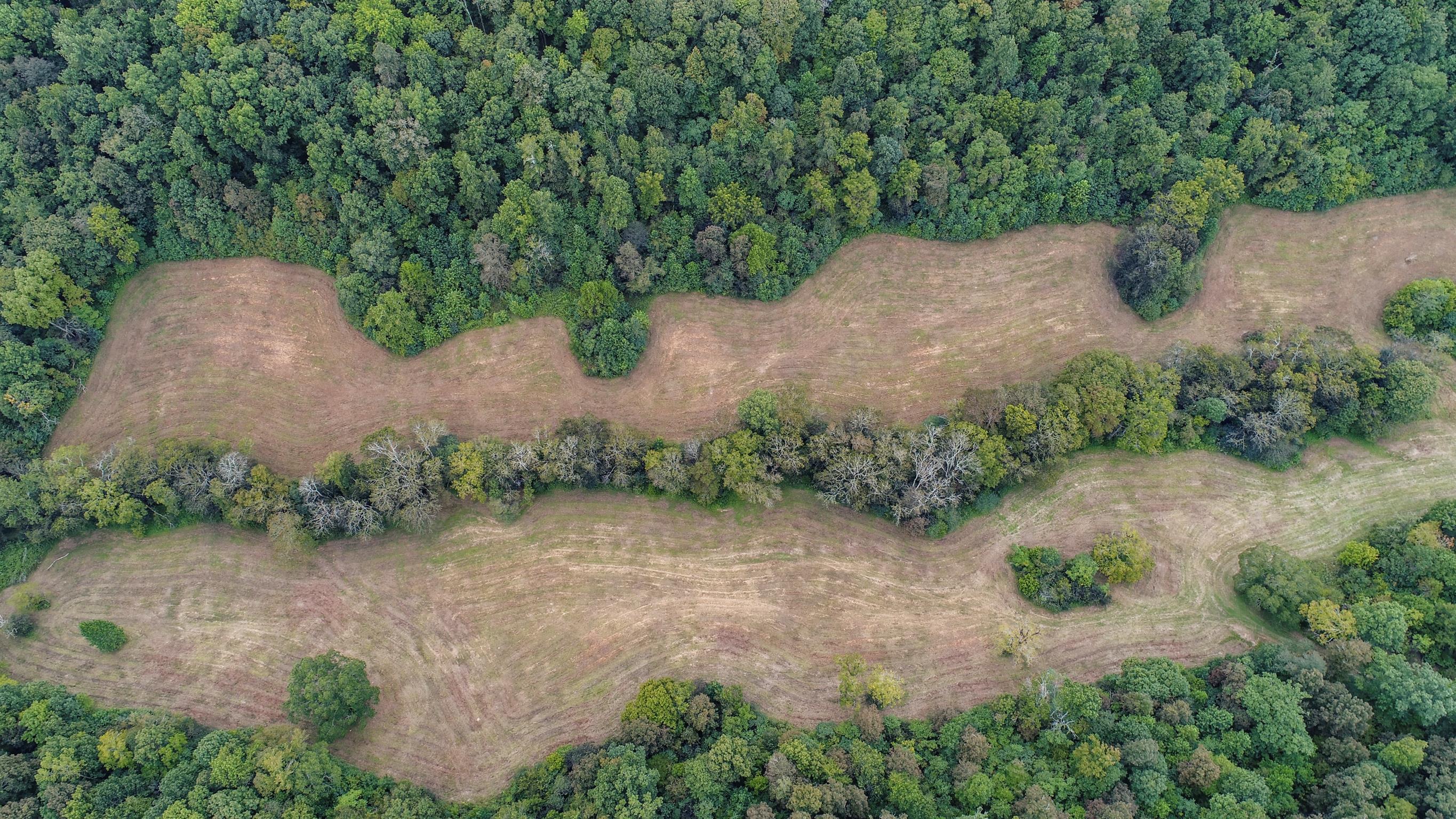 0 Little Dry Creek Road Pulaski, TN 38478 - Photo 6 of 14
