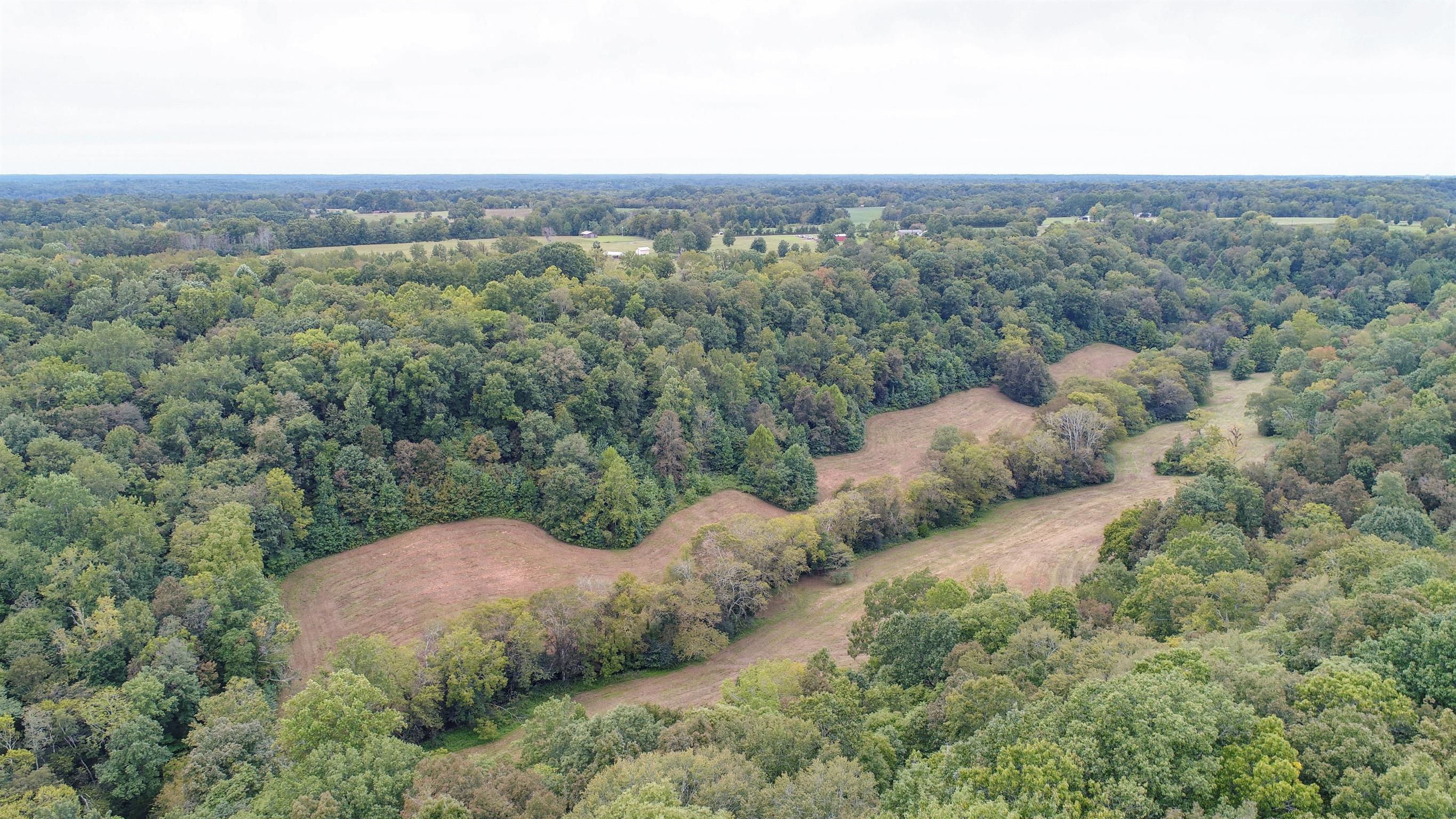 0 Little Dry Creek Road Pulaski, TN 38478 - Photo 7 of 14