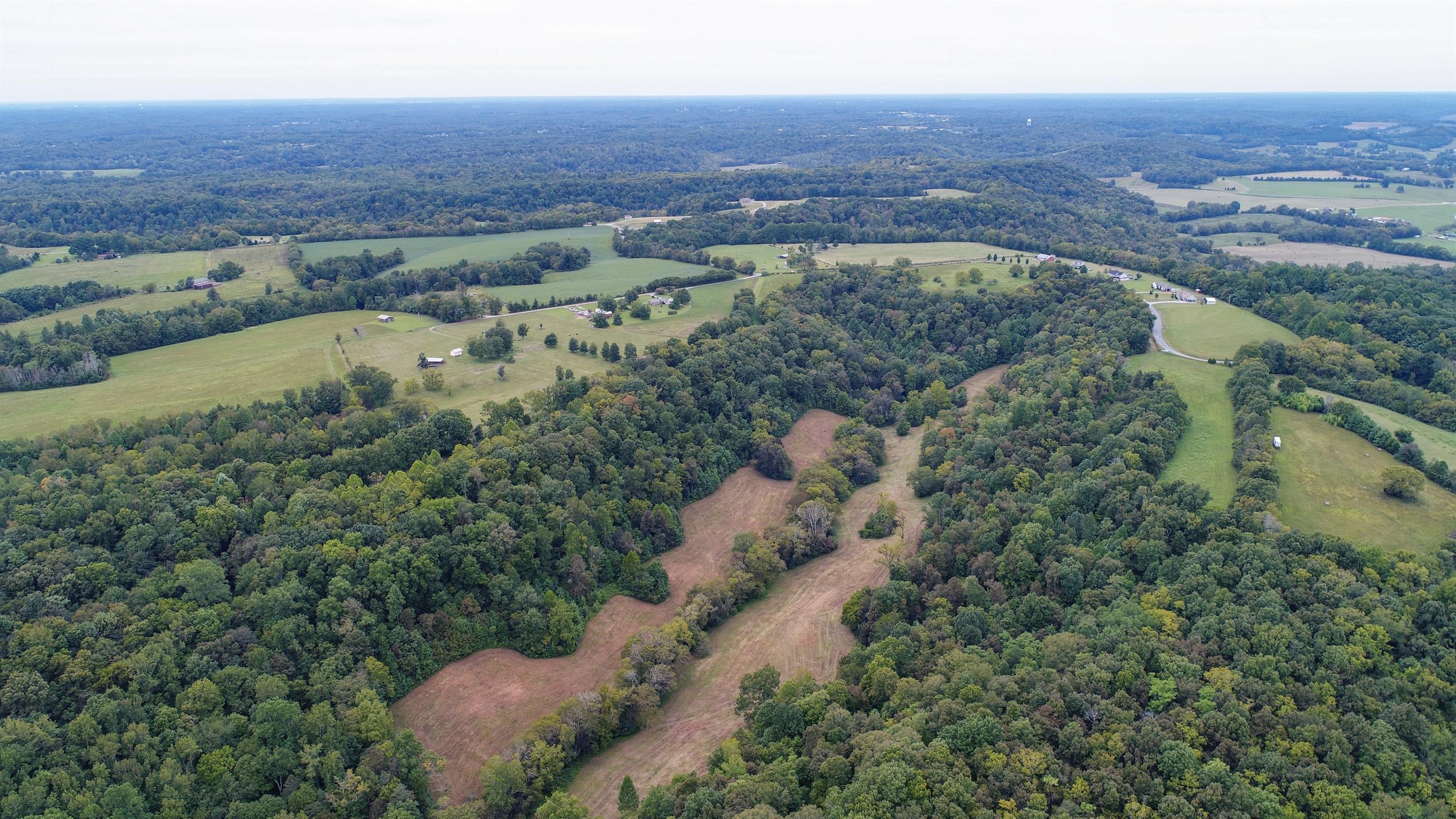 0 Little Dry Creek Road Pulaski, TN 38478 - Photo 8 of 14