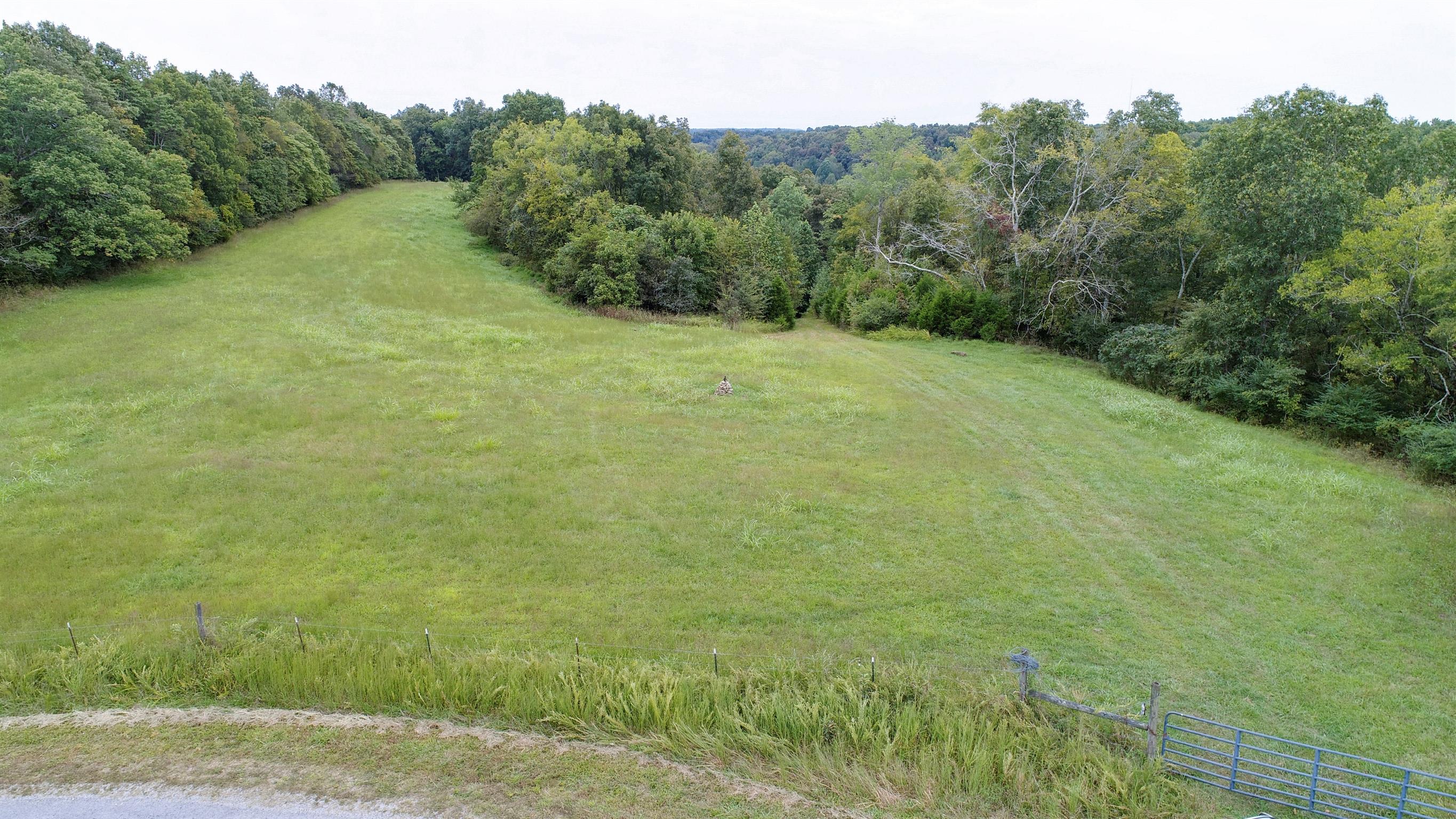 0 Little Dry Creek Road Pulaski, TN 38478 - Photo 10 of 14