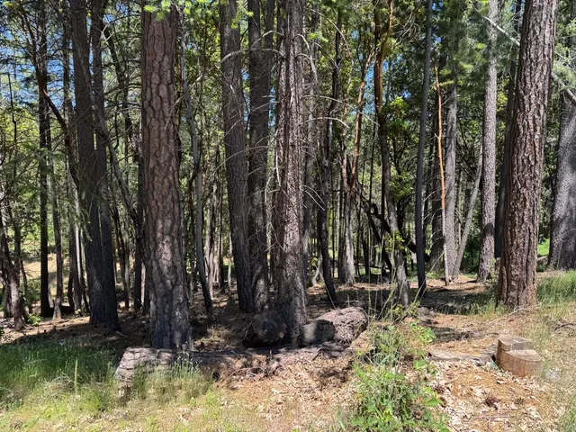 $79,900 | 20955 Todd Valley Road, Foresthill, CA 95631