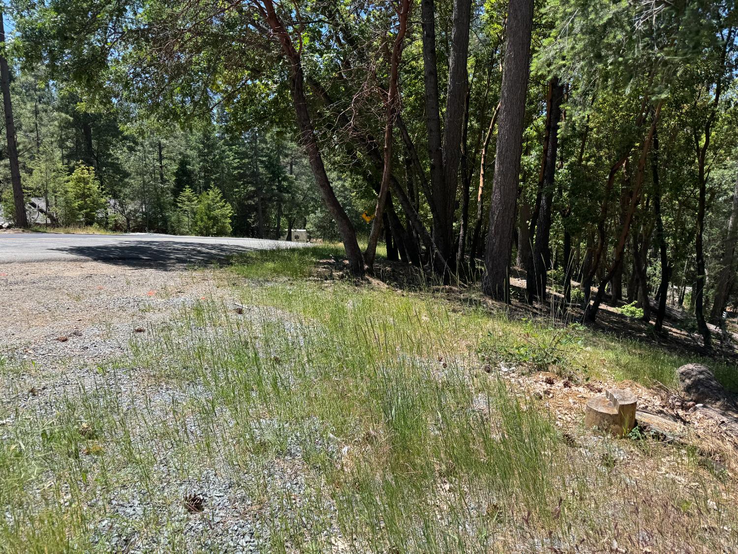20955 Todd Valley Road Foresthill, CA 95631 - Photo 5 of 6 a view of backyard with green space