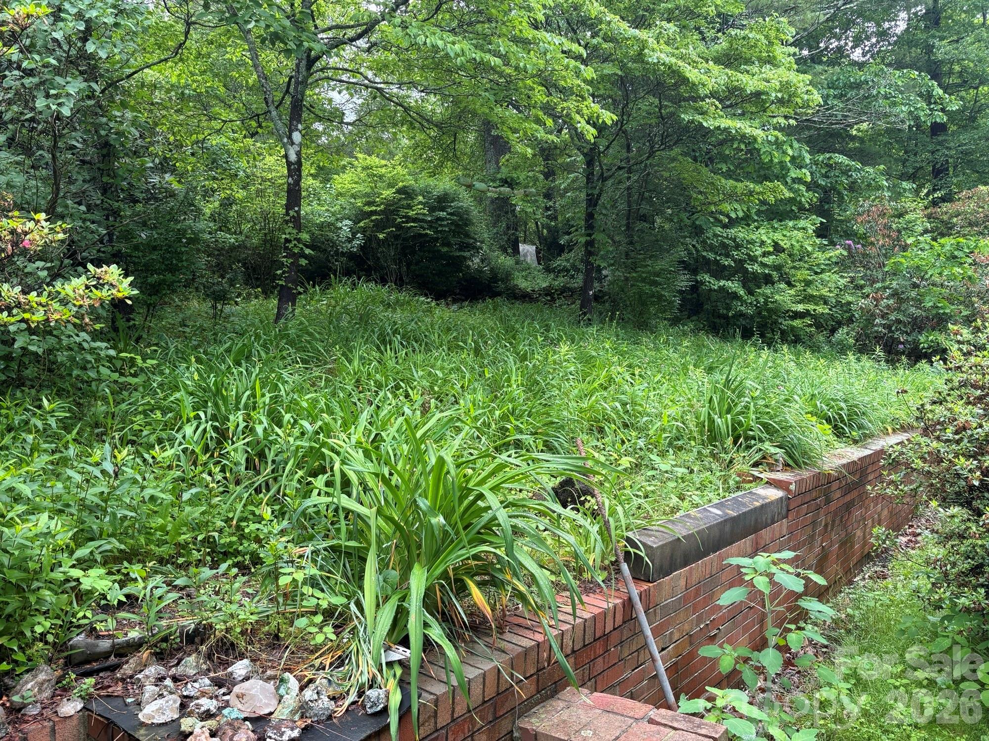 609 Valley Road Spruce Pine, NC 28777 - Photo 8 of 8