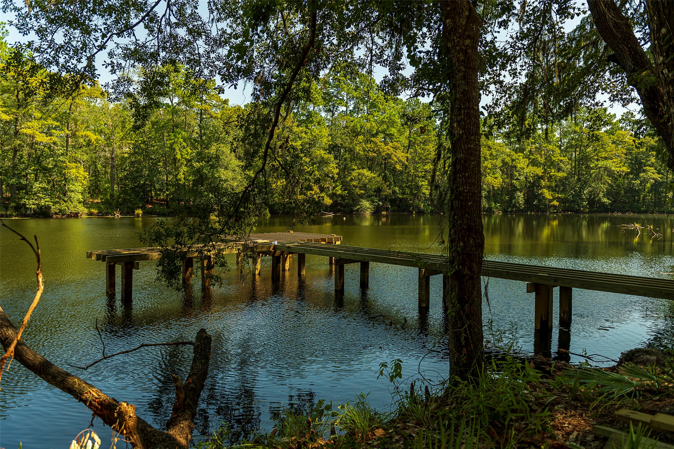 21956 Rolling Grns Road Porter, TX 77365 - Photo 15 of 16 Discover peaceful moments at The Preserve, where scenic walking trails and serene lakeside boardwalks offer a quiet retreat surrounded by nature.