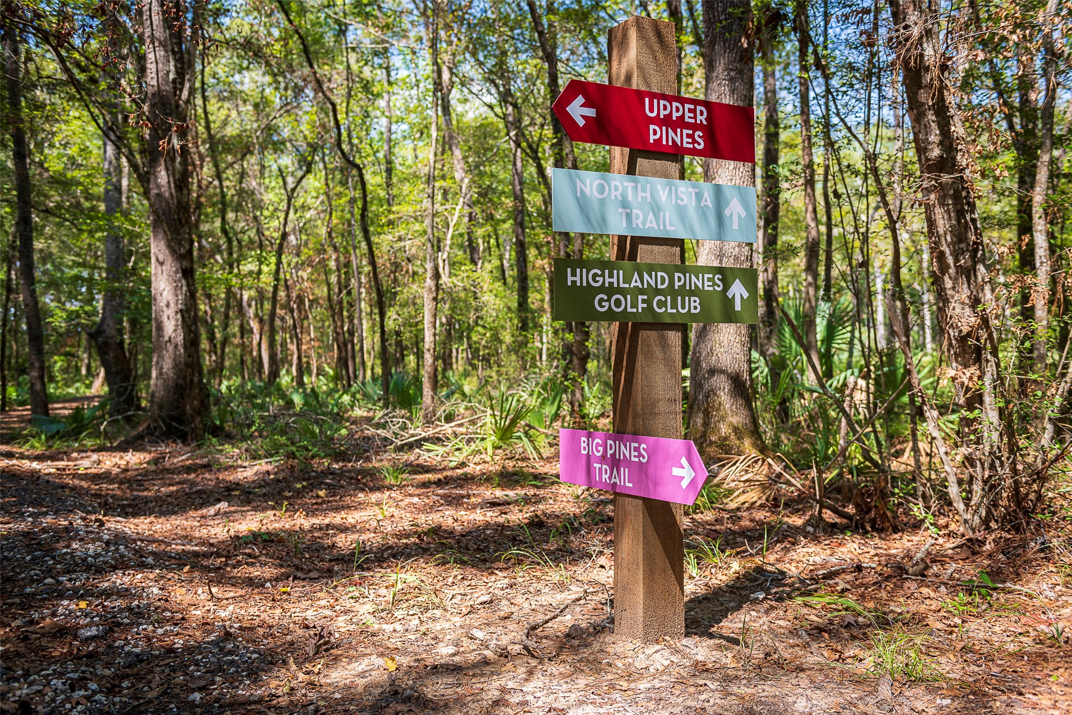 21956 Rolling Grns Road Porter, TX 77365 - Photo 16 of 16 Explore miles of scenic nature trails winding through The Highlands—perfect for hiking, biking, or a peaceful walk through the trees. Trail markers make it easy to navigate and enjoy the great outdoors just steps from home.