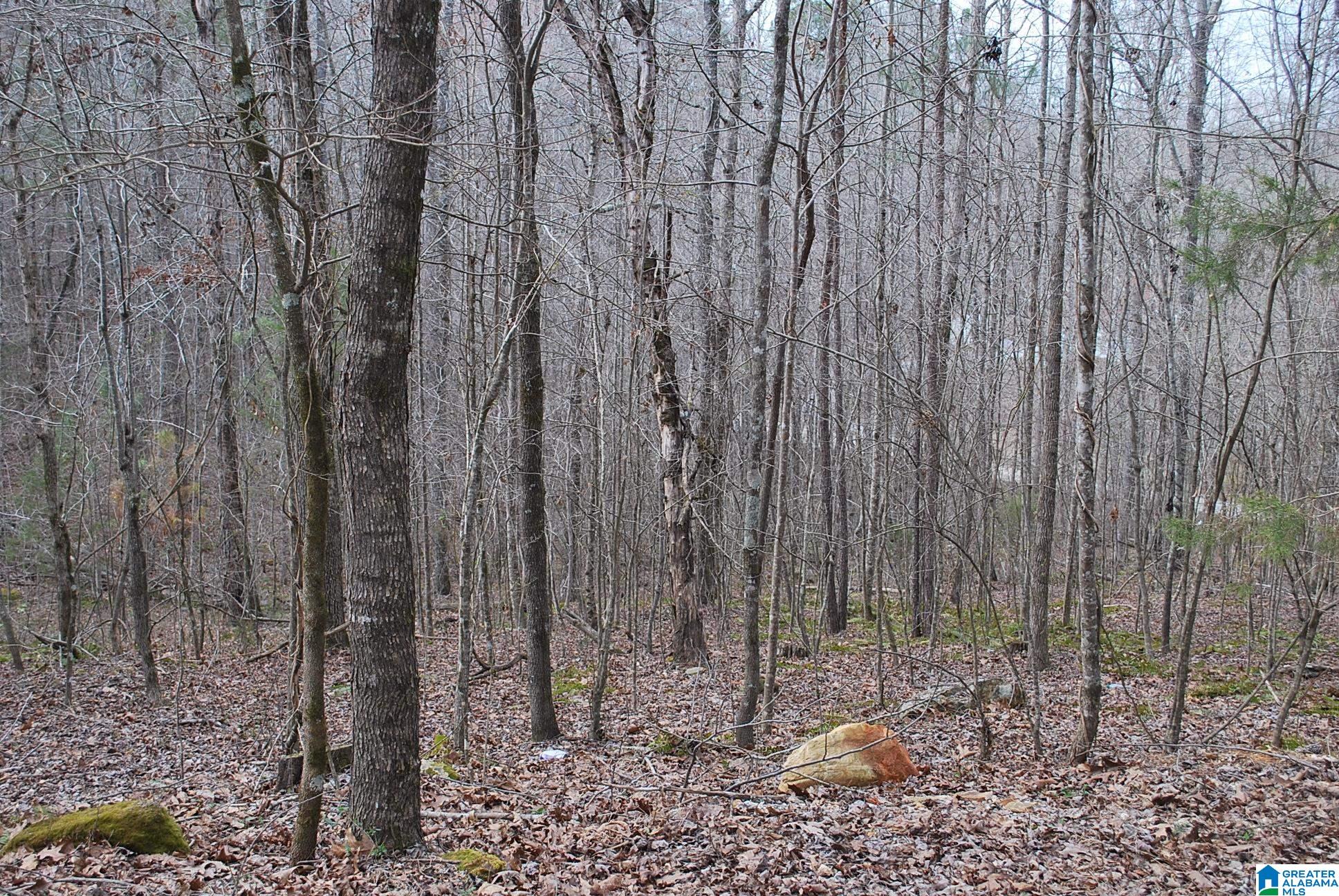 8023 County Road, Unit 8 Lineville, AL 36266 - Photo 6 of 21