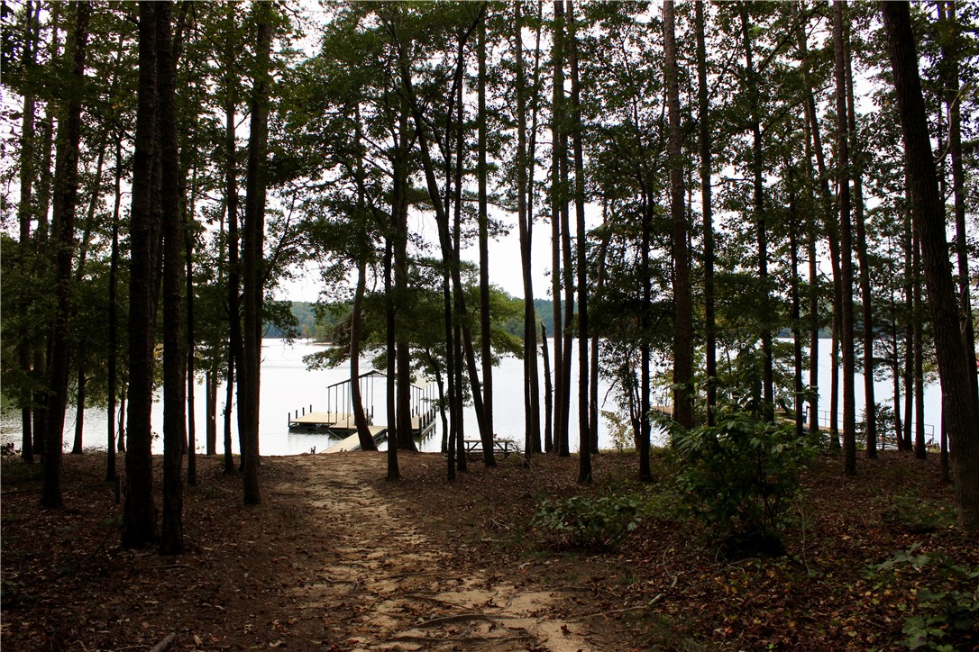 110 Inlet Point Road Fair Play, SC 29643 - Photo 23 of 34 Gallery Image 23