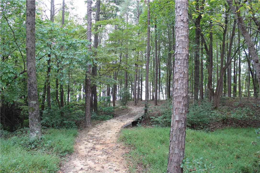 110 Inlet Point Road Fair Play, SC 29643 - Photo 27 of 34 Gallery Image 27