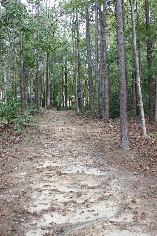 110 Inlet Point Road Fair Play, SC 29643 - Photo 28 of 34 Gallery Image 28