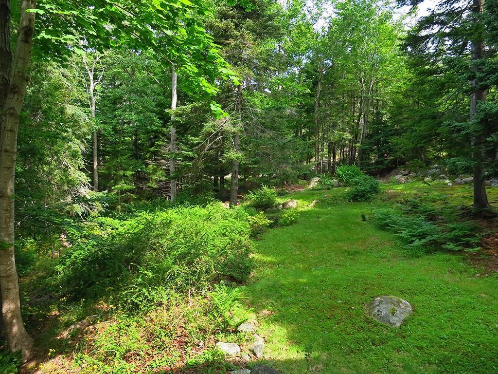 20 New County Road Mount Desert, ME 04675 - Photo 29 of 35 Side lawn surrounded by forest