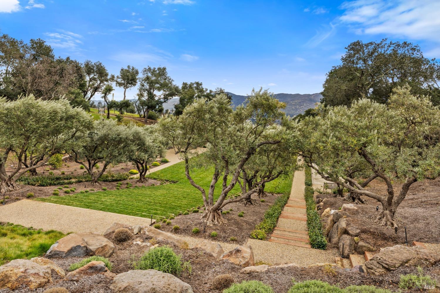 860 Meadowood Lane St. Helena, CA 94574 - Photo 67 of 77
