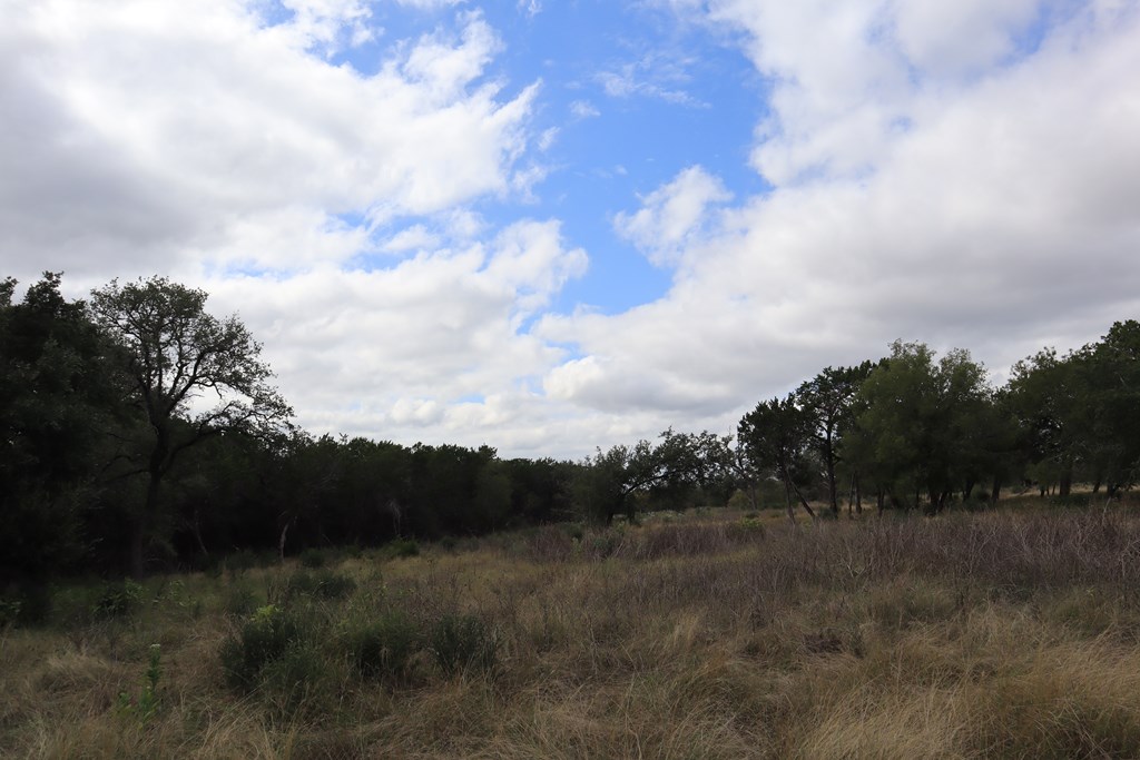 0 English Crossing Road Bandera, TX 78003 - Photo 4 of 11 a view of outdoor space and green space