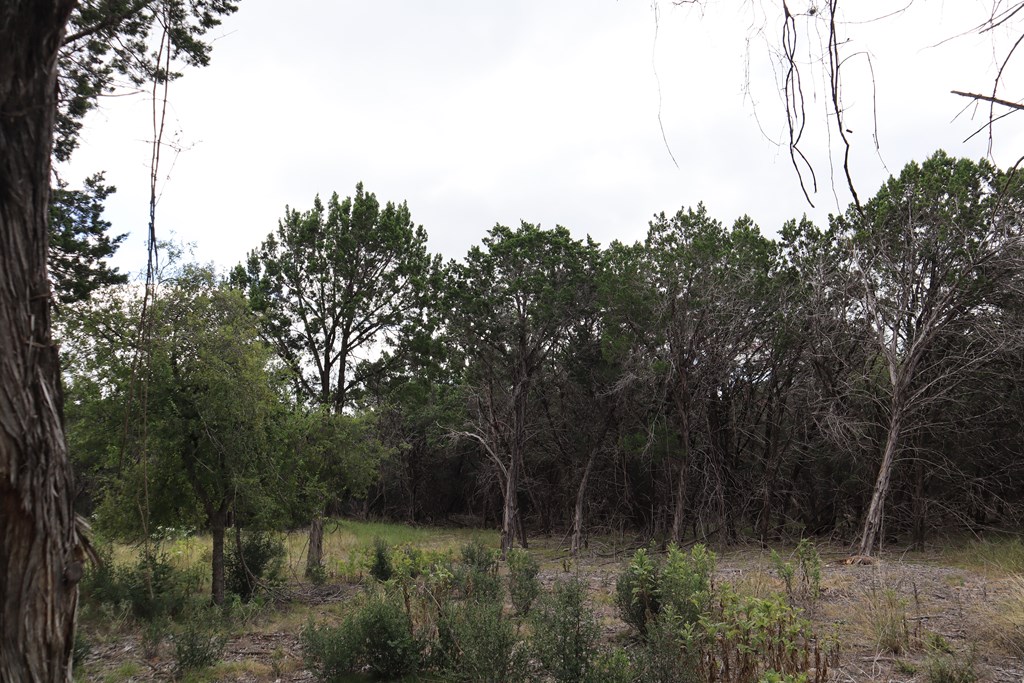 0 English Crossing Road Bandera, TX 78003 - Photo 6 of 11 a view of backyard with green space