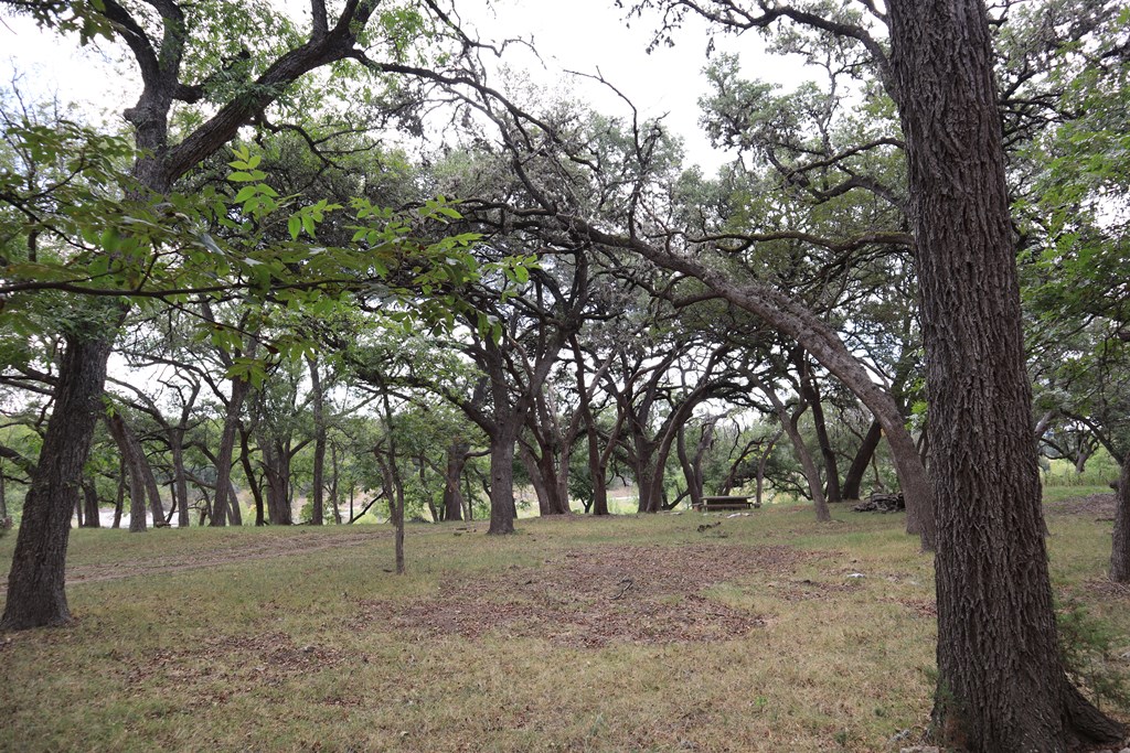 0 English Crossing Road Bandera, TX 78003 - Photo 9 of 11 a view of outdoor space with trees