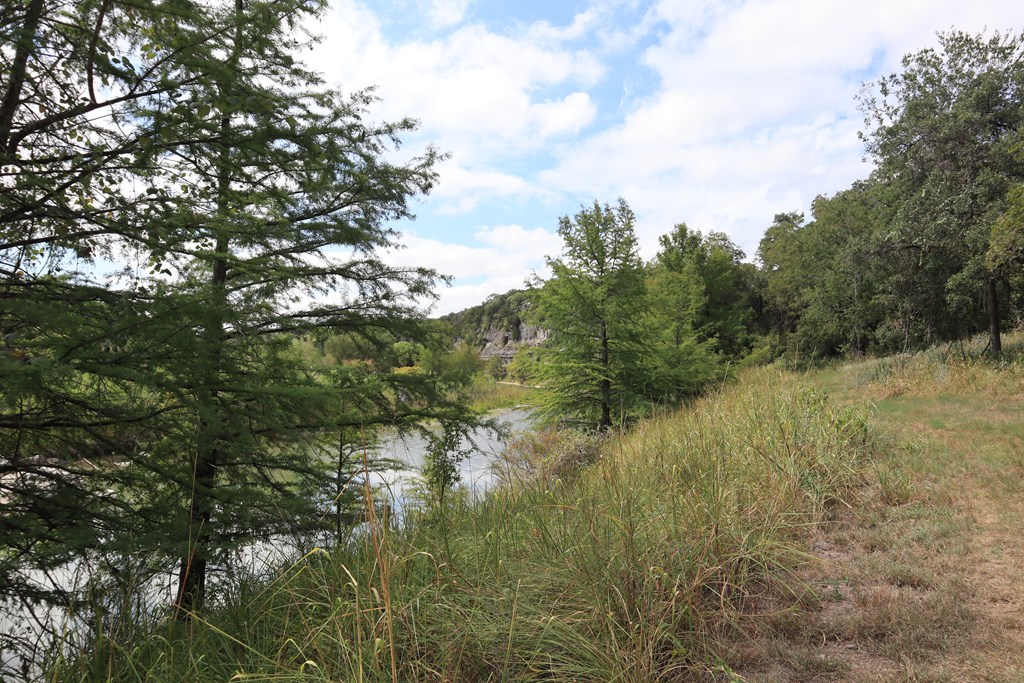 0 English Crossing Road Bandera, TX 78003 - Photo 10 of 11 a view of a lake with a tree