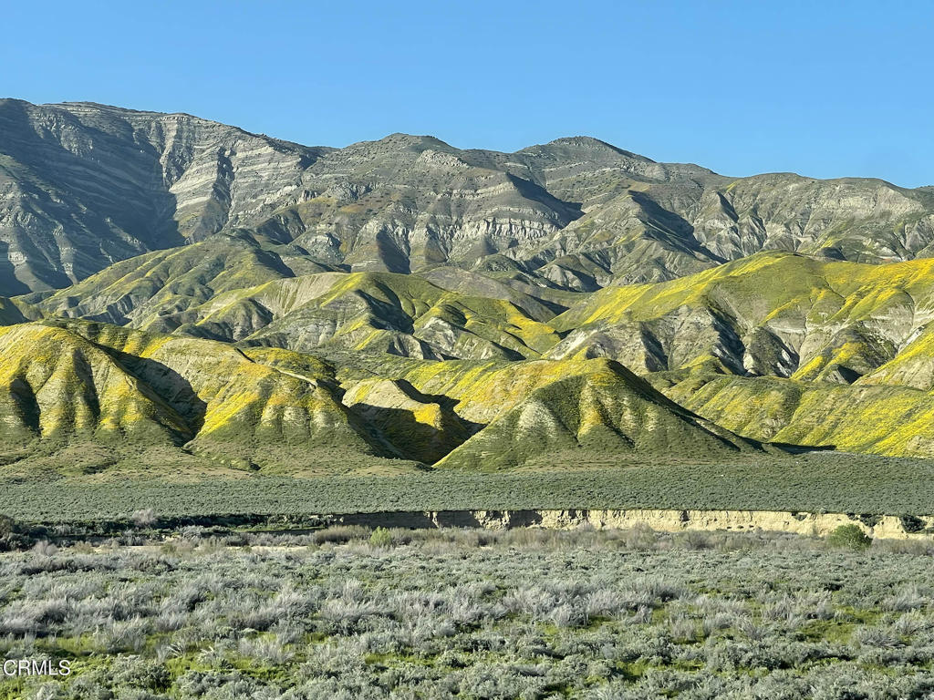2170 Aliso Park Road Maricopa, CA 93252 - Photo 43 of 72 a view of a swimming pool with a backyard