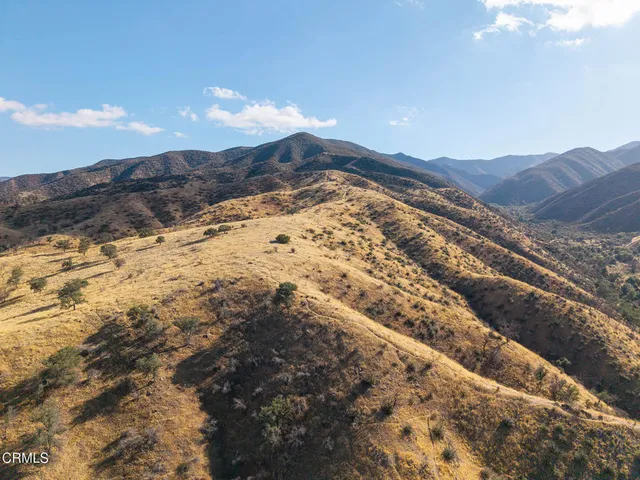 a view of swimming pool with outdoor seating and wooden floor