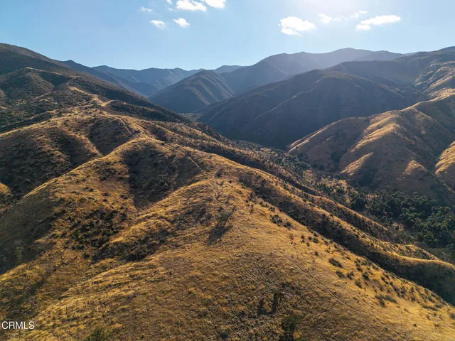 a view of a park with houses