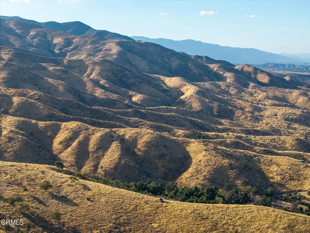 a view of road and trees