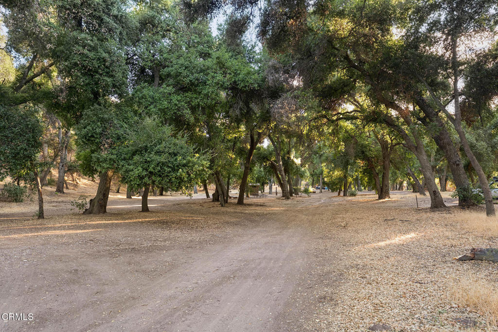 2170 Aliso Park Road Maricopa, CA 93252 - Photo 70 of 72 a view of road and trees
