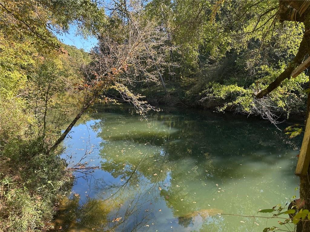 401 Towaliga Trail Forsyth, GA 31029 - Photo 2 of 29 a view of lake