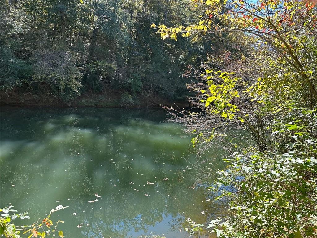401 Towaliga Trail Forsyth, GA 31029 - Photo 25 of 29 a view of a garden