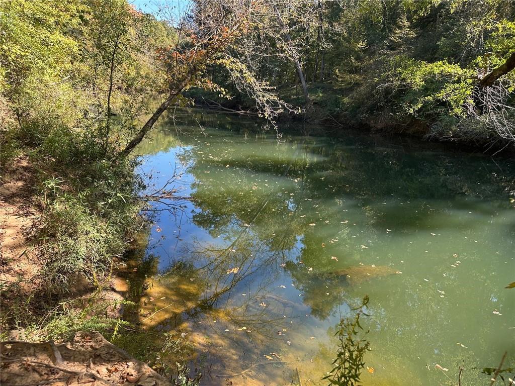 401 Towaliga Trail Forsyth, GA 31029 - Photo 26 of 29 a view of a lake view