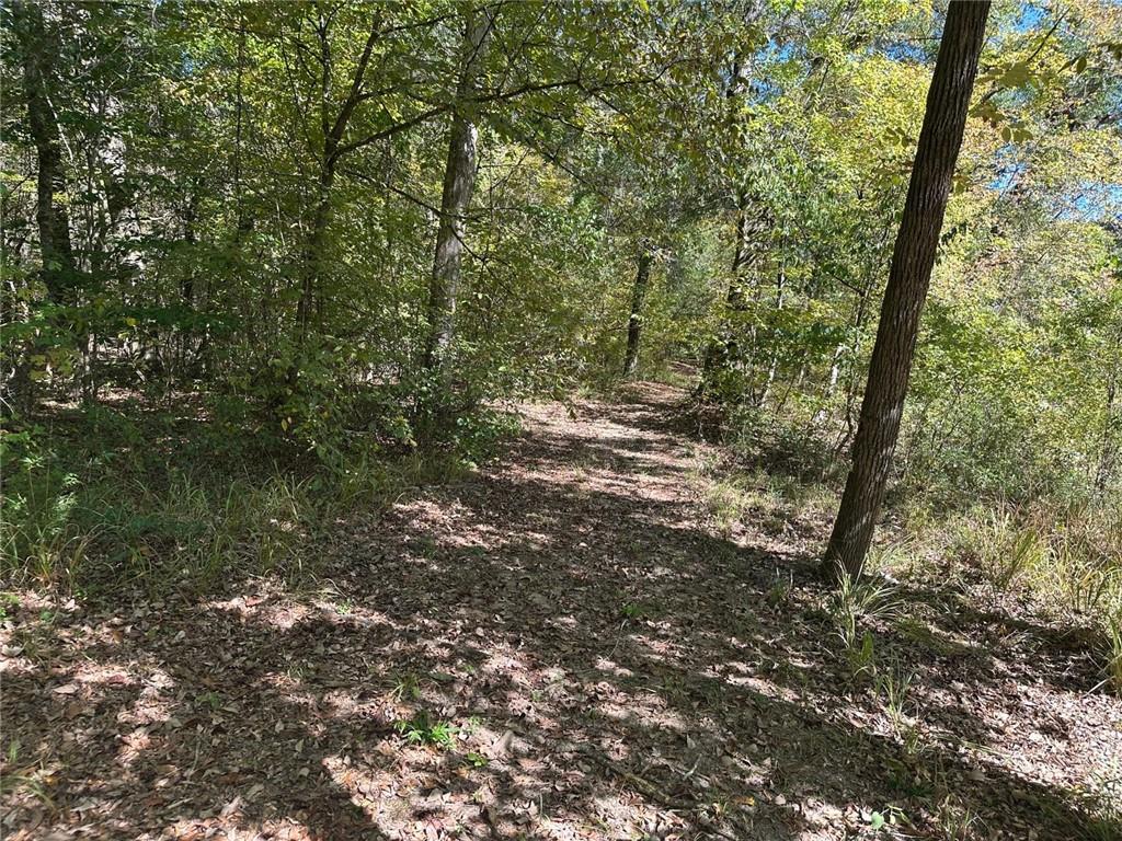 401 Towaliga Trail Forsyth, GA 31029 - Photo 27 of 29 a view of a tree in a yard