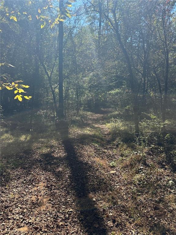 401 Towaliga Trail Forsyth, GA 31029 - Photo 28 of 29 a view of a yard