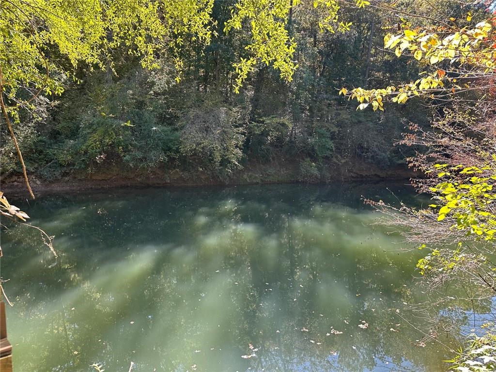 401 Towaliga Trail Forsyth, GA 31029 - Photo 29 of 29 a view of a lake from a yard