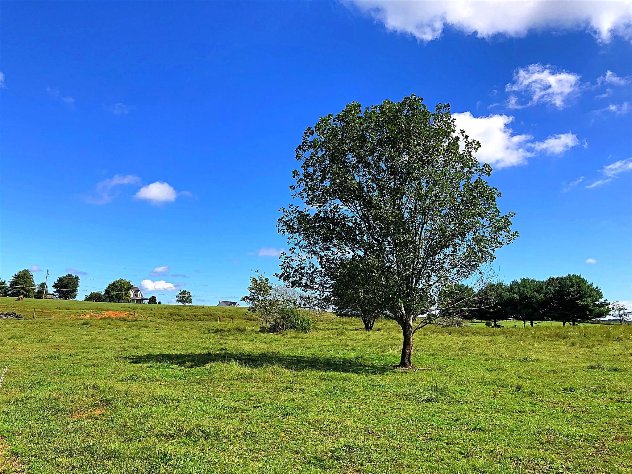 3379 Maxie Jones Road Springfield, TN 37172 - Photo 30 of 30 a view of an ocean from a yard