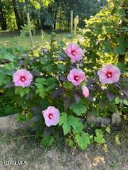 139 Homestead Road Saratoga, NY 12866 - Photo 25 of 67 IMG_20250908_195156