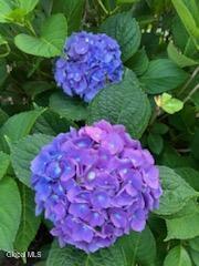 139 Homestead Road Saratoga, NY 12866 - Photo 26 of 67 IMG_20250908_195201