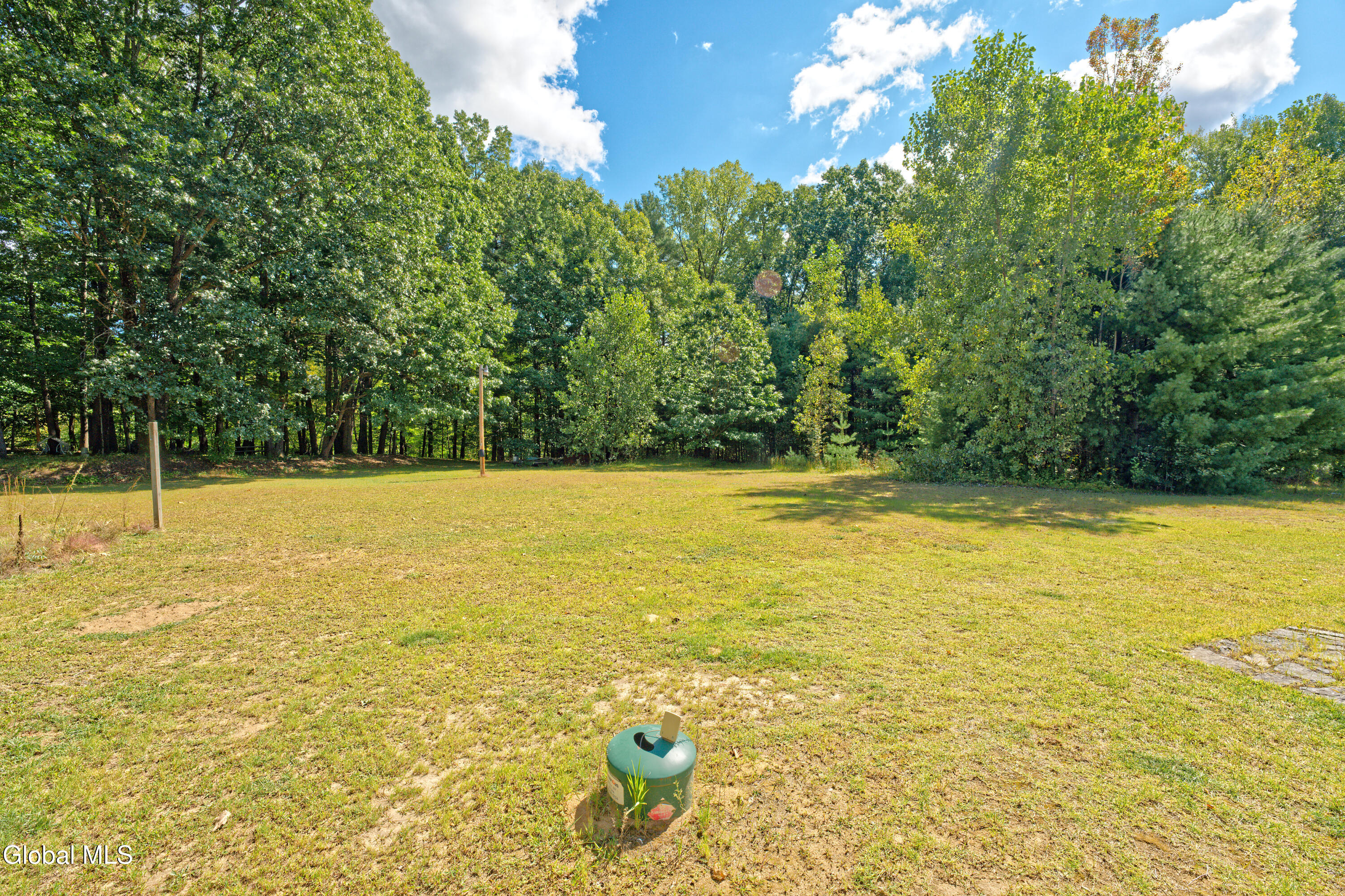 139 Homestead Road Saratoga, NY 12866 - Photo 43 of 67 Yard 10