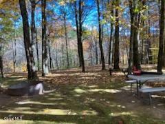 139 Homestead Road Saratoga, NY 12866 - Photo 63 of 67 1000004038
