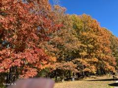 139 Homestead Road Saratoga, NY 12866 - Photo 65 of 67 1000004040
