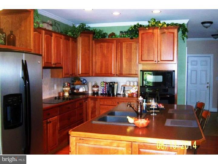 175 Beaver Pond Road Harrington, DE 19952 - Photo 6 of 25 Gallery Image 6