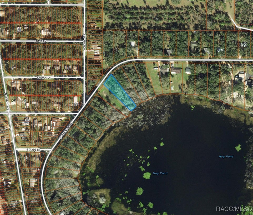 3418 East Perry Street Inverness, FL 34453 - Photo 6 of 6