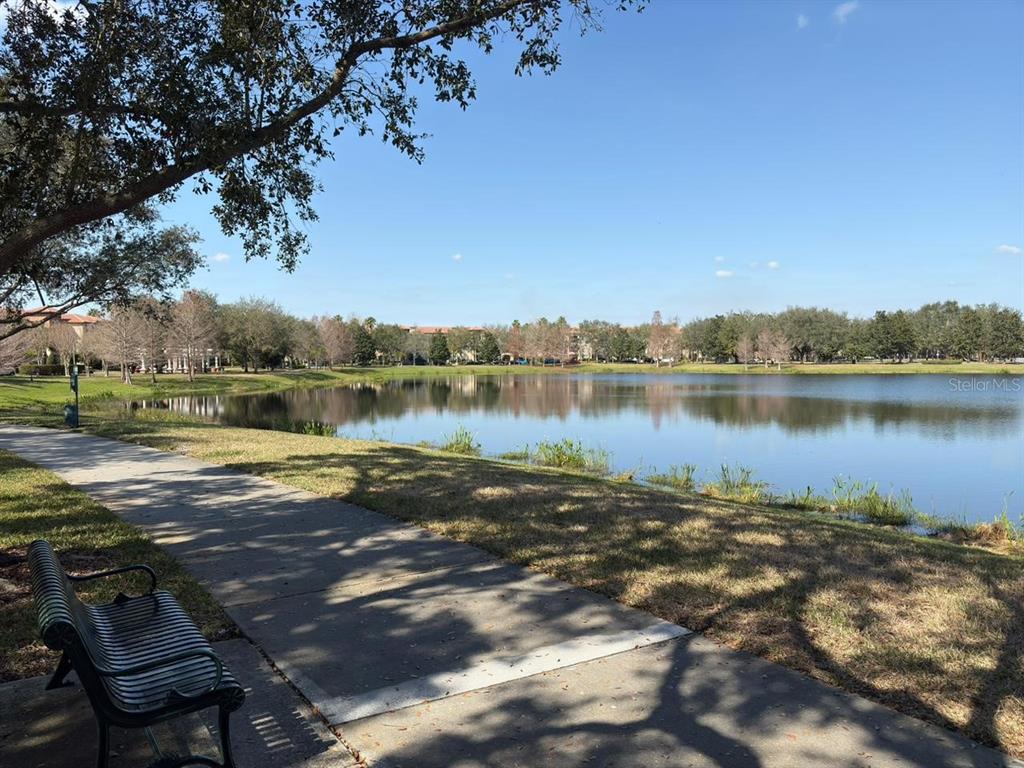 8259 Maritime Flag Street, Unit 6 Windermere, FL 34786 - Photo 4 of 15