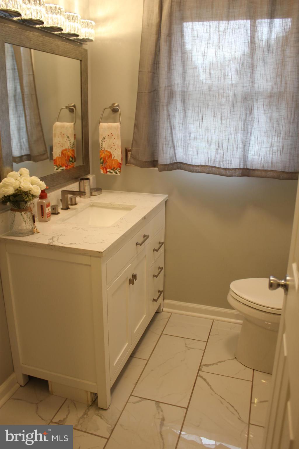 294 Starr Road Landenberg, PA 19350 - Photo 19 of 68 a bathroom with a sink a toilet and a mirror